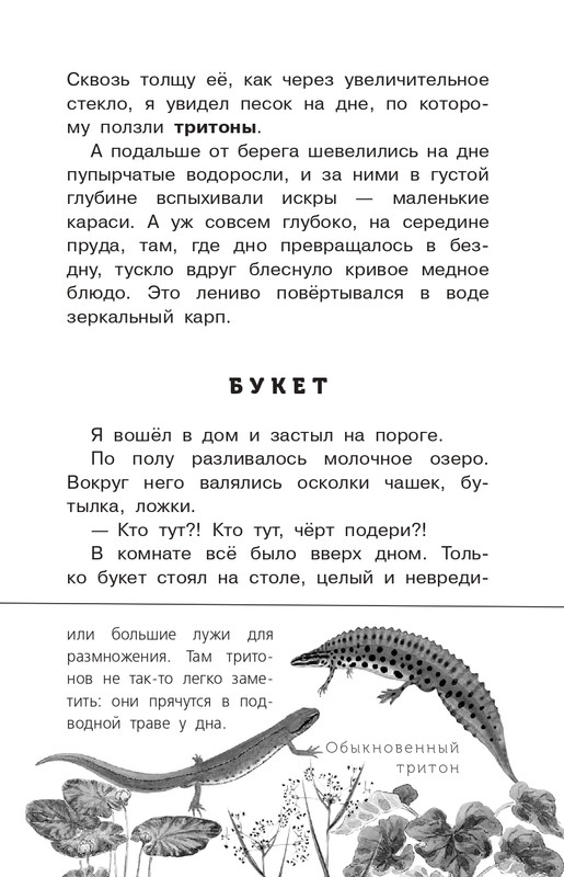 Koval-Jurij-Alyj-page-0040