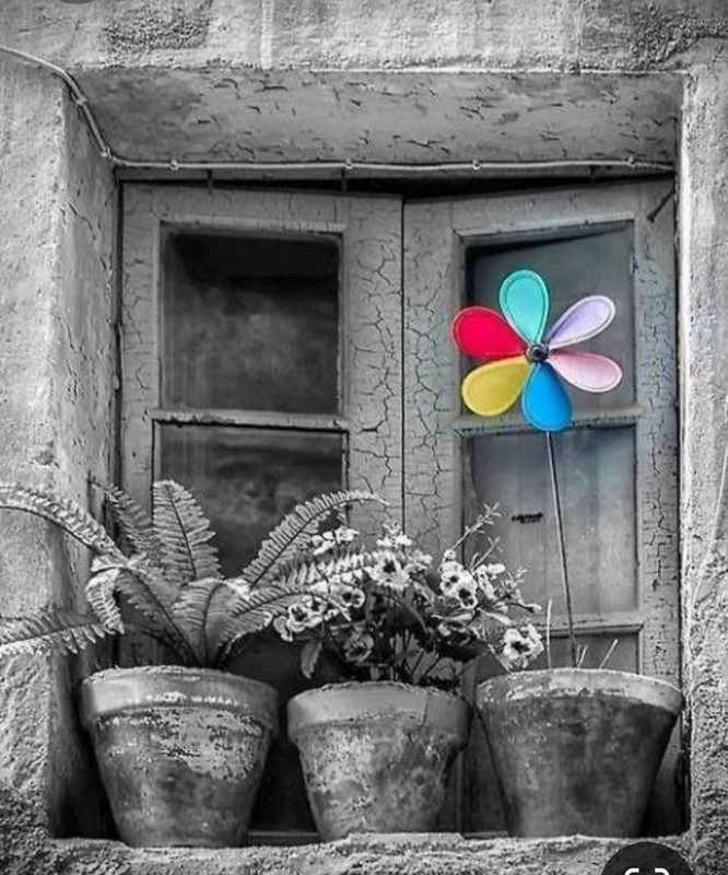 Screenshot_20230409_225024_Pinterest