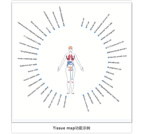 单细胞lncRNA分析-9.png