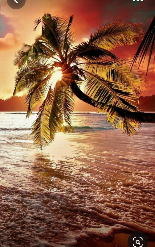 Screenshot_20230611_221137_Pinterest