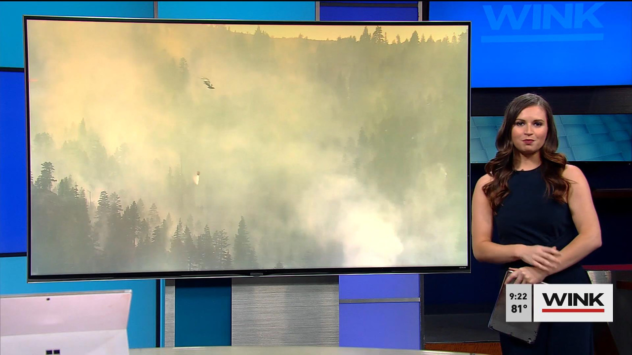08.21 - 14.00.00 - WINK News @ 9 00AM. Local news, sports and weather.ts_snapshot_08.33_[2021.08.21_
