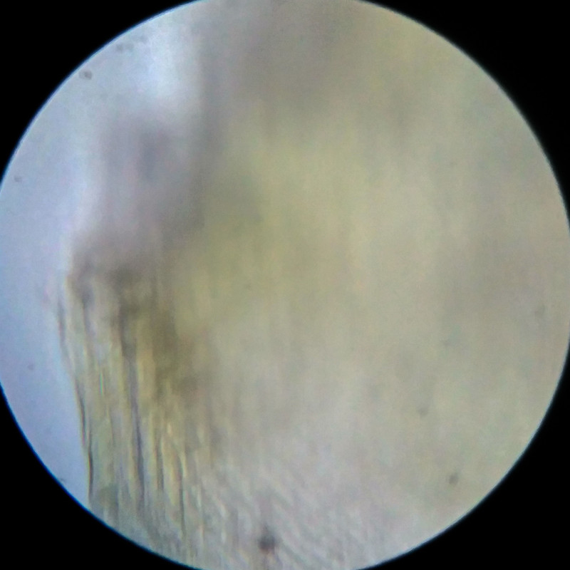 IMG 20250614 204608 HDR