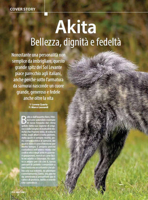 Il M C Apr-Mag 2023 (1)