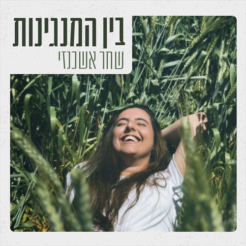 תמונה