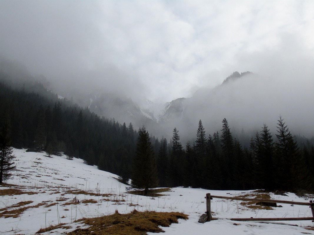 008 - DSC00614 (1280x960) (PawelK)