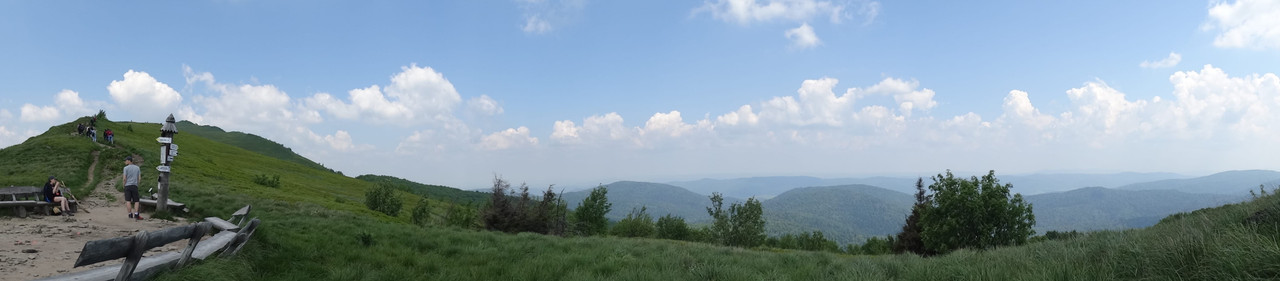 029 - DSC00843 (Ace79)