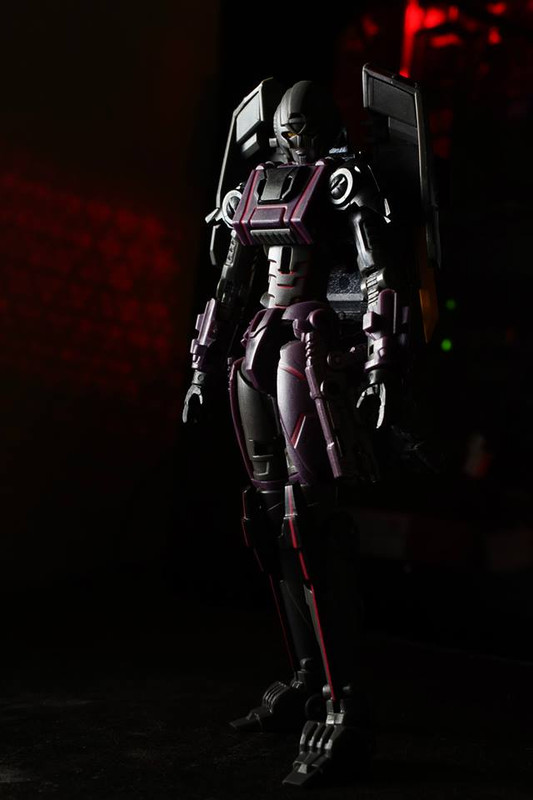 10660202_10204585296769645_230849372845360261_n