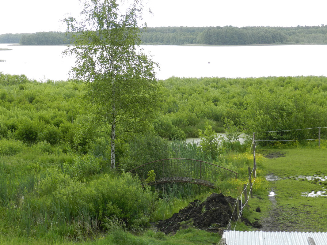 09 - Widok na jezioro Płaskie (Aldona)