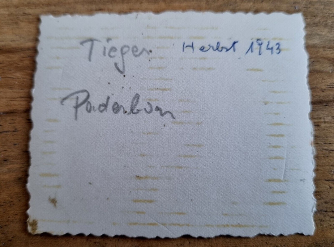 6 x orig. Foto Panzer III Tiger Panther Griechenland Turmnummer Portrait 1944 (1)