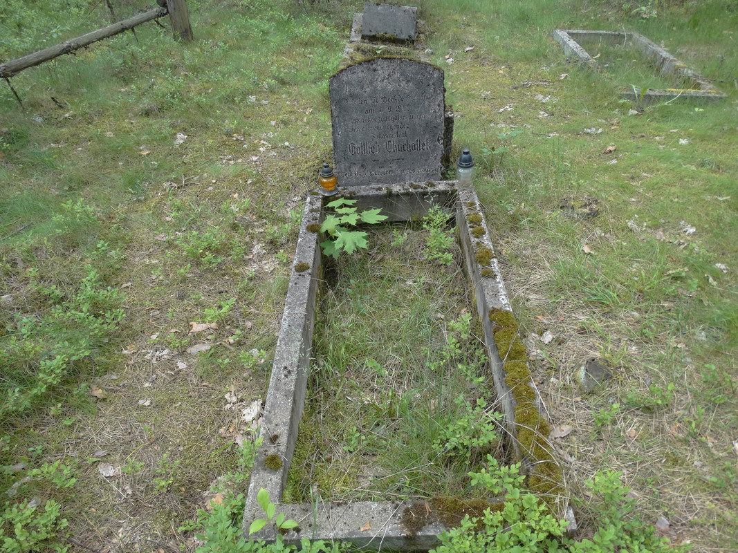 07 - DSC04079 (Czesio1)