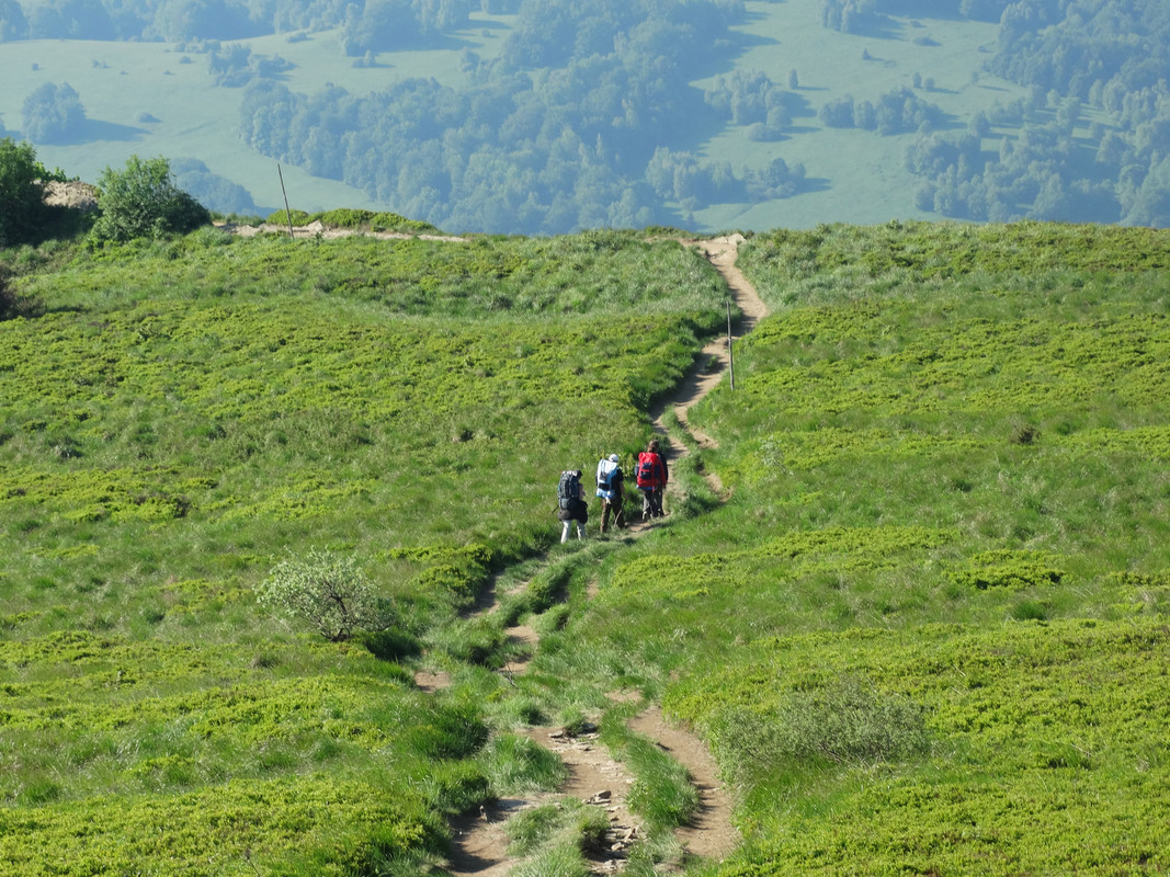 039 - DSC00917 (Mirmił)