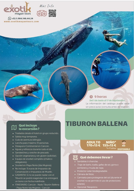 Ofertas Excursiones en la Riviera Maya - Exotik Mayan Tours - Foro Guías y Excursiones