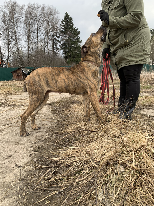 image-09-04-23-05-34-15 (1)