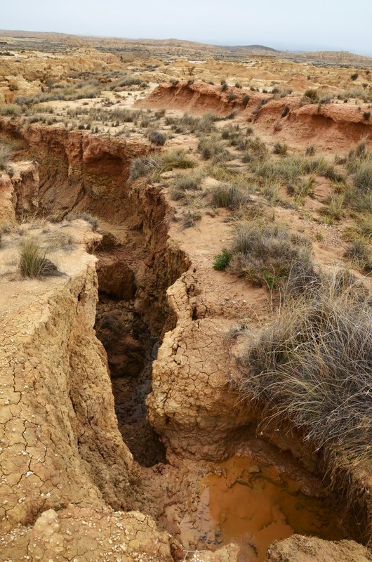 Navarra y sus pueblos-2015 - Blogs de España - Las Bárdenas Reales-15-11-2015 (16)