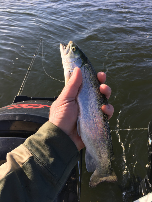 095EE660-4482-43C8-93F8-DB47E4C1C1BE