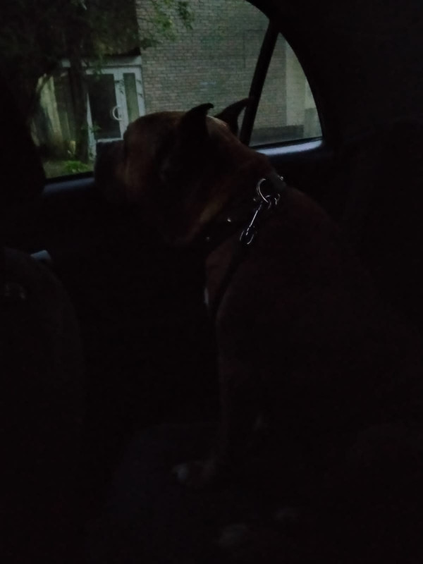 WhatsApp Image 2023-08-15 at 22.13.44 (1)