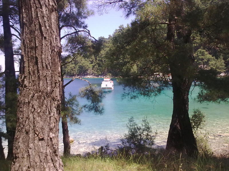 Slika