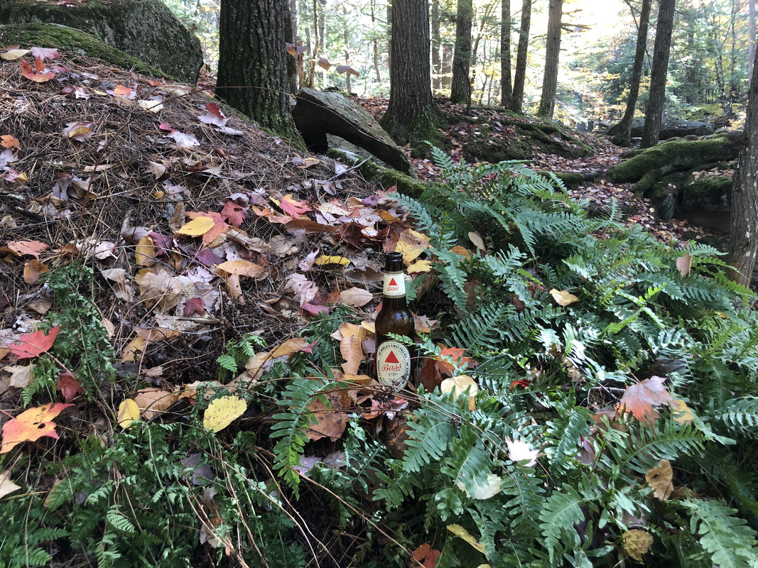 A6ED2F51-D157-41A5-91E1-6BC68C69C76A