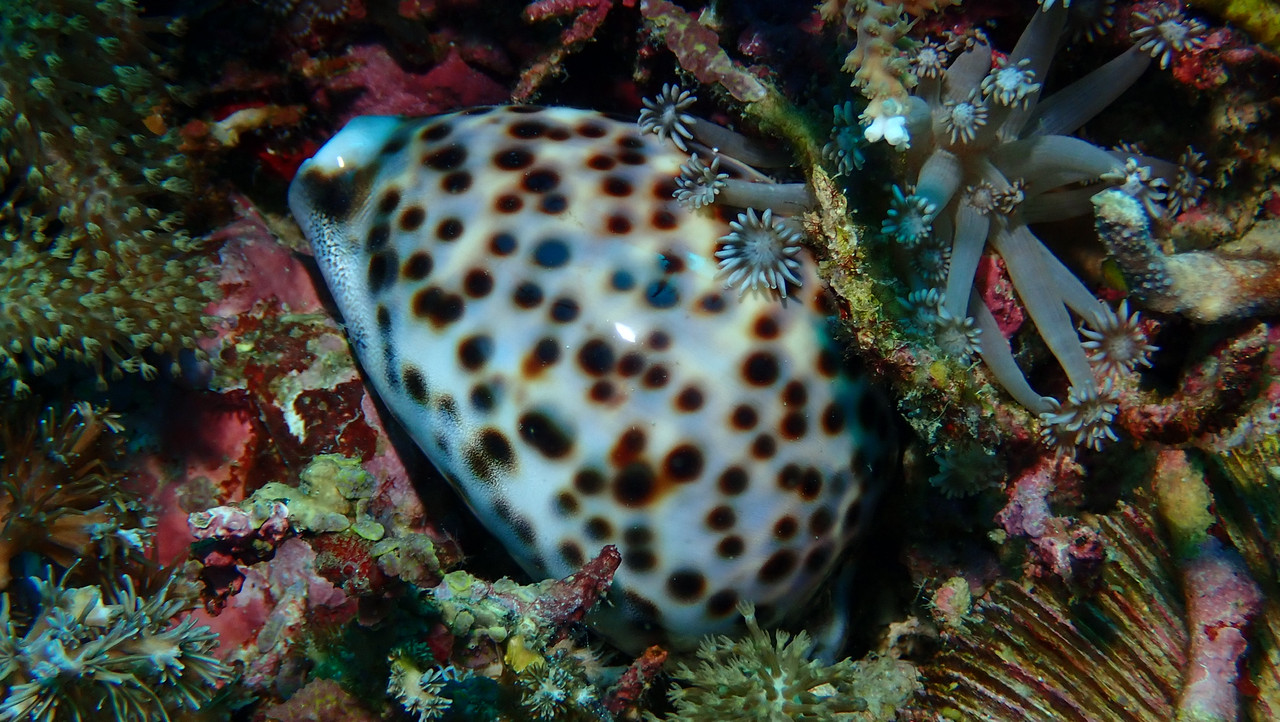 B778176B-BD92-4358-BA8D-677785205599