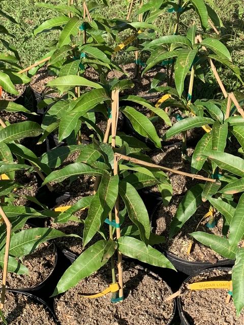 B9EB09AD-ABF2-43E6-84E7-67B1C6747399