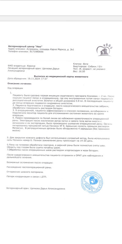 Screenshot_20241213-041047