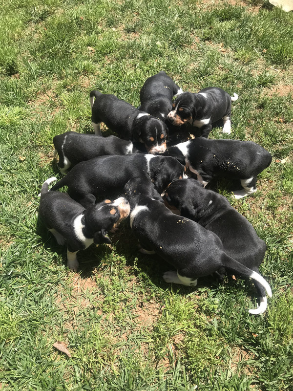 93EB5BDD-5BDC-4532-B50B-B6056FE0C332