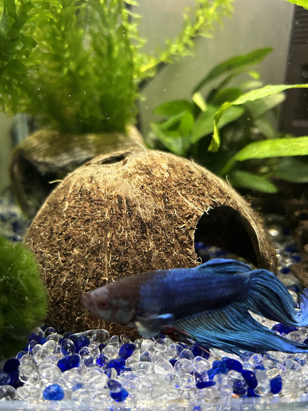 6DBDB0D1-55AD-4D04-B788-3563632EF7B8