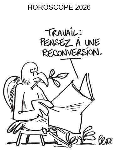 brin d'olivier mazouté