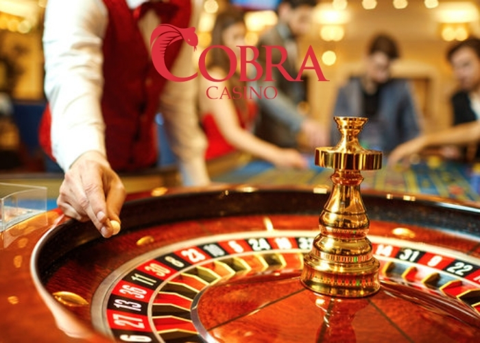Cobra Casino Spiele