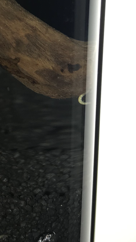 4826D88C-A13F-4E38-ACD6-817A67B057E0