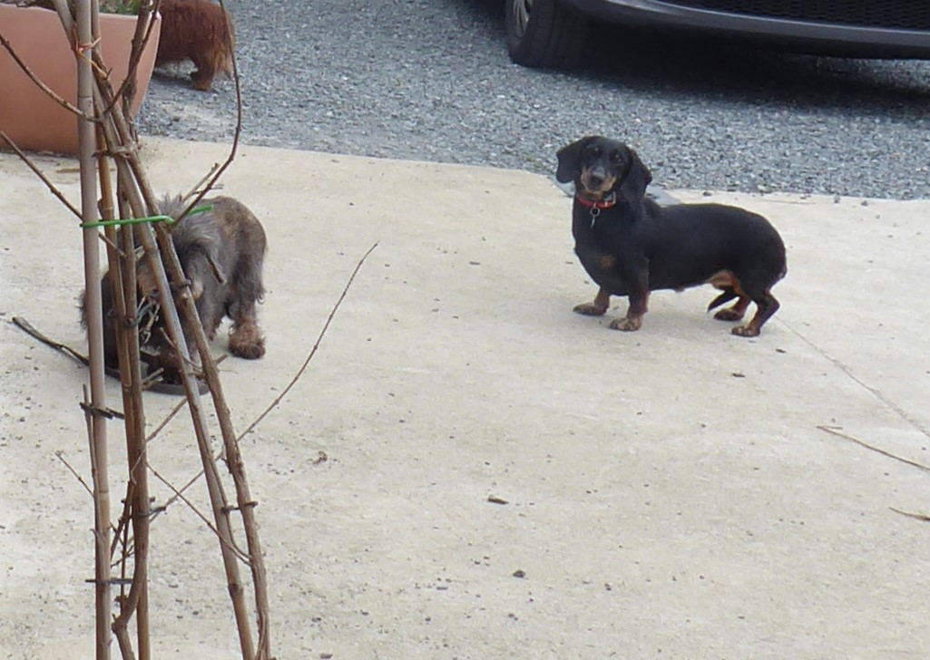 [Image: P1020238.jpg]