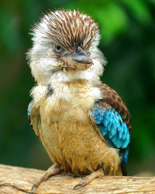 6a4059daf2a6a307788f51cea9a5e7b8