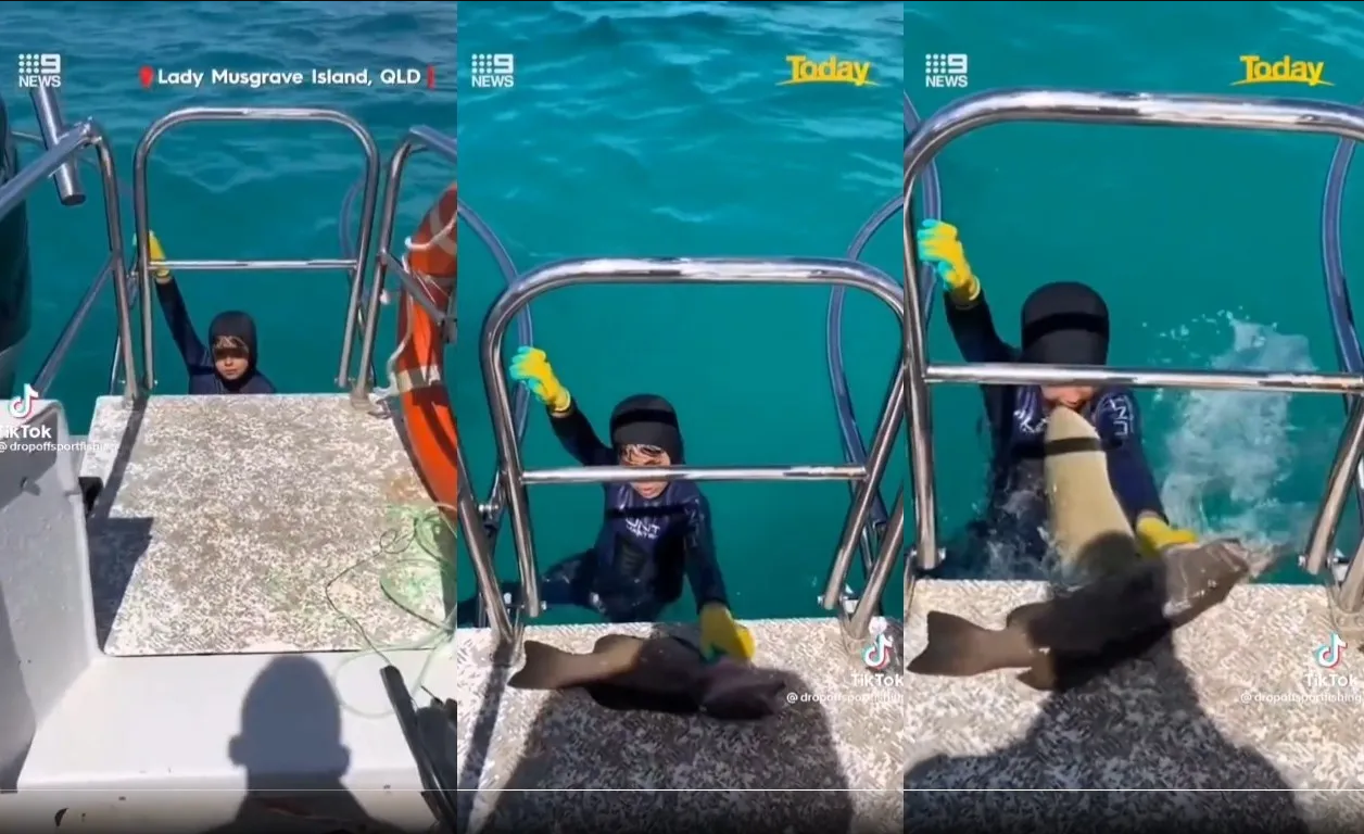 Ataque de tiburón a un niño se hace viral