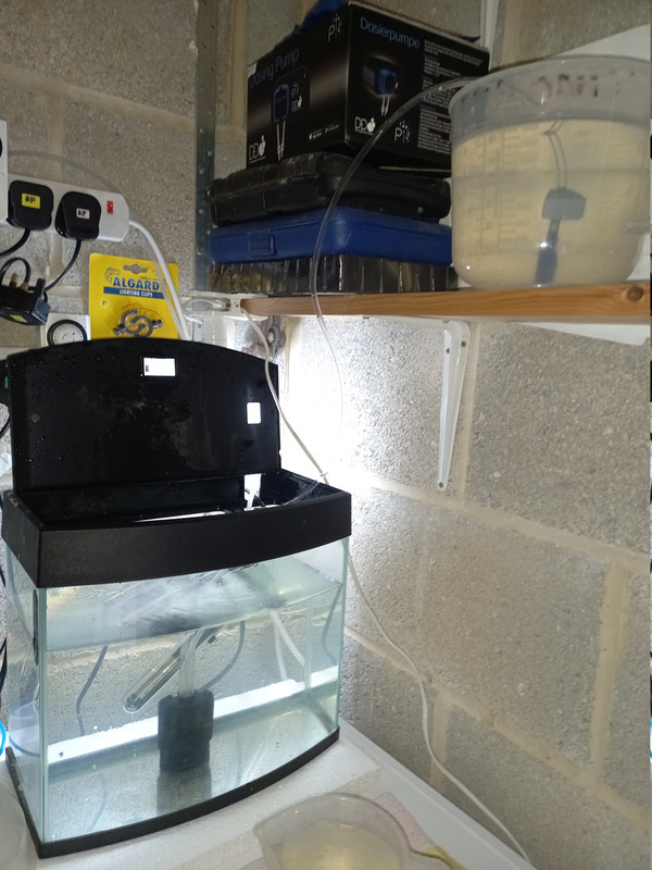 Water change