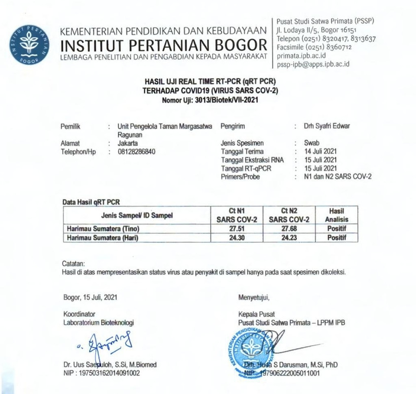 Hasil test PCR Hari dan Tino yang dinyatakan positif Covid-19.