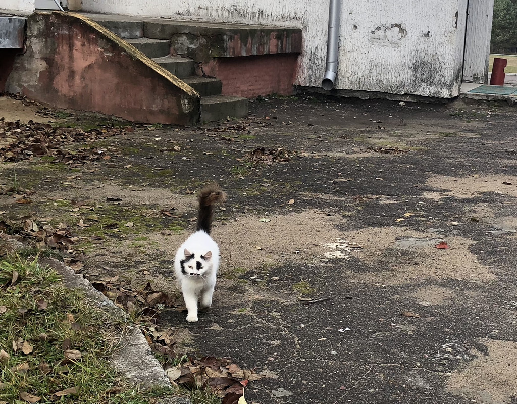 DCCBA0BA-3BD2-4479-8018-02624CD85D03