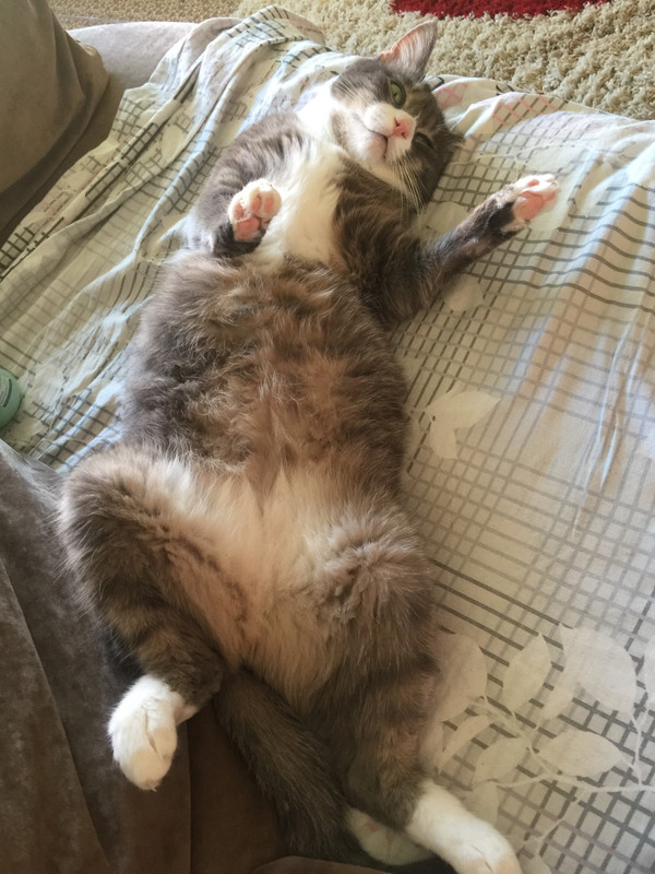 8DE0E00B-C76E-42E4-A49D-7F87AFF24205