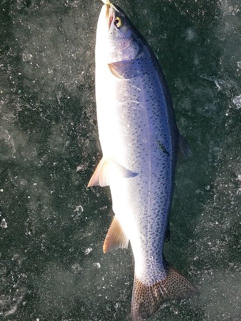 First Ice
