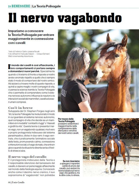 Il Mio Cav (Set-Ott 2024) 9