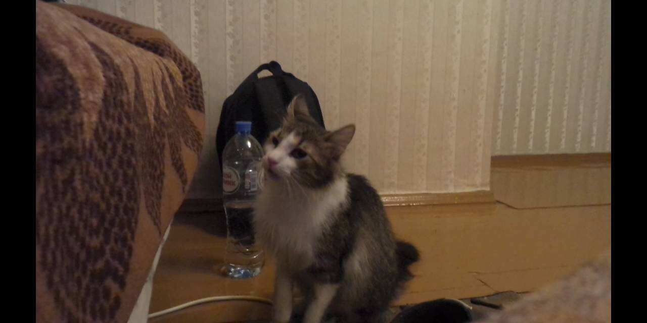 D7ABA1B4-23DA-47F0-8F79-FE72C6E4AA4F