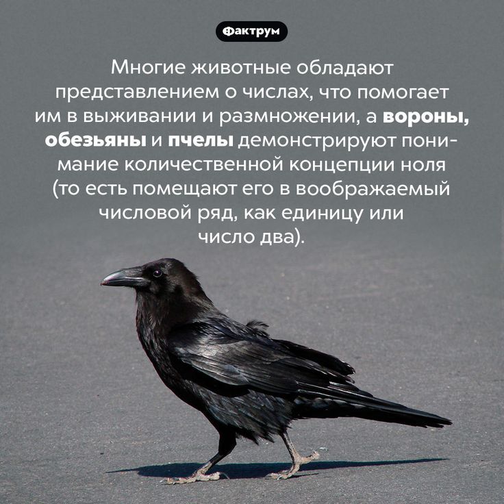 [Изображение: viber-2025-02-23-09-19-32-015.jpg]