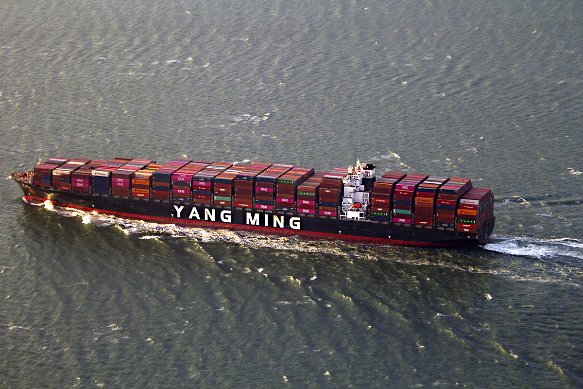 Yang-Ming.jpg
