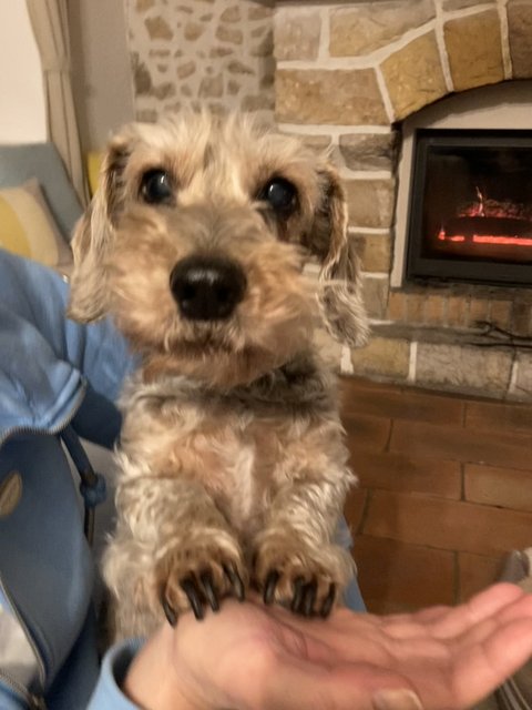 [Image: 2-A31-E83-F-A18-A-473-D-8579-96-A093-FA8-B7-D.jpg]