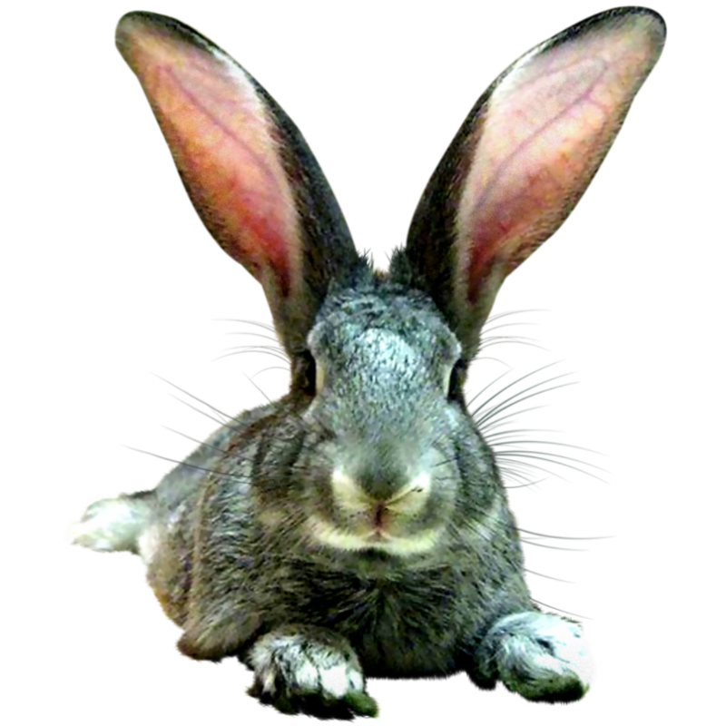 0_1c14b2_b9be8b7c_orig