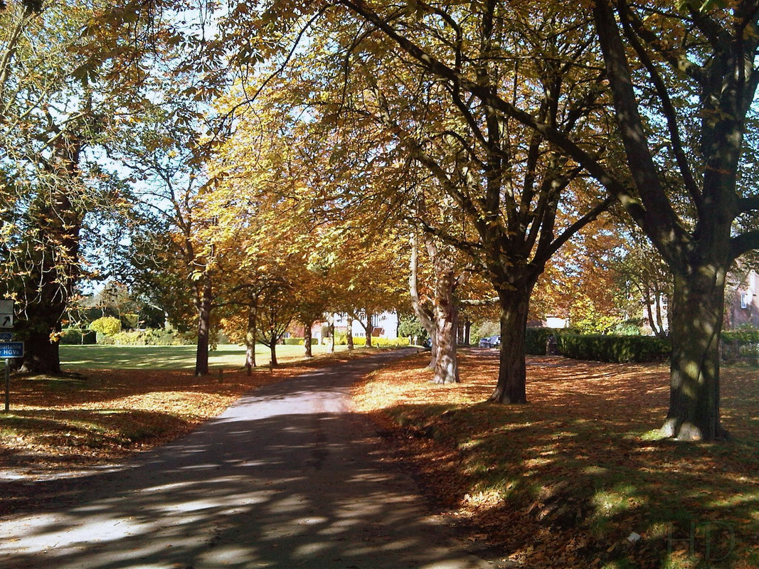 autumn-our-area-h-D.jpg