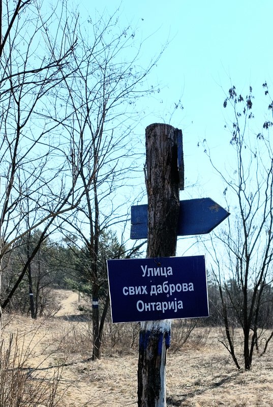 Slika