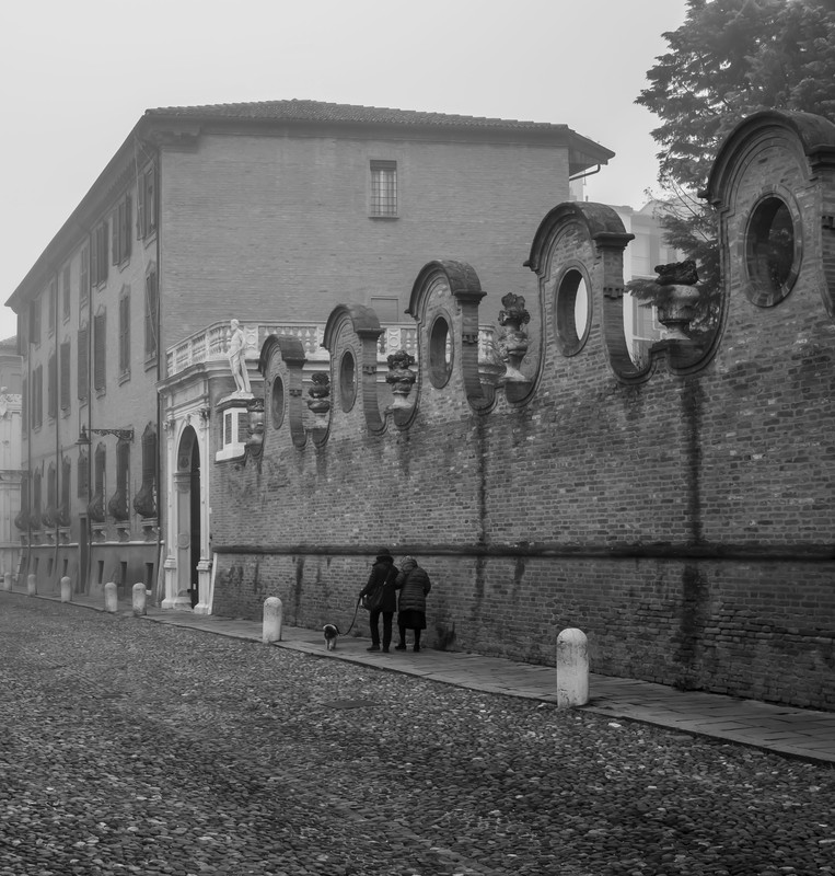 IMGP0740 (2)