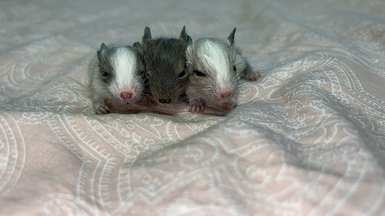 A869C25E-93B4-4102-B8C1-44BBCAFD9675