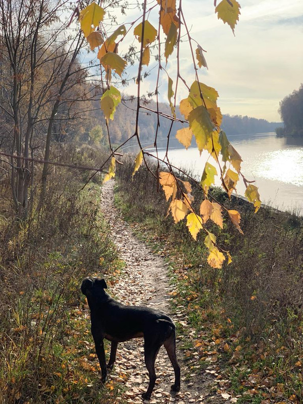 9571CFEC-4C56-4D51-B56D-FA43AE734BBB