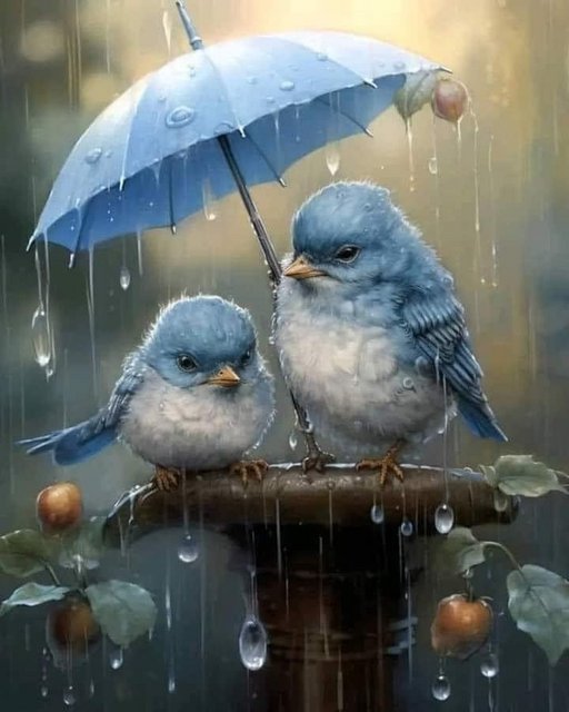 [Image: IMG-2263.jpg]